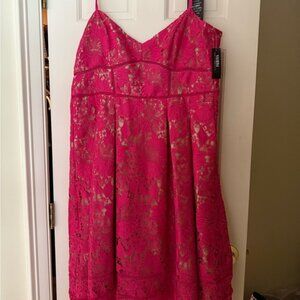 New/Unused White House Black Market Pink Lace Dress